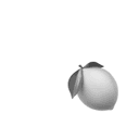 solo lemon. onlyfounds logo